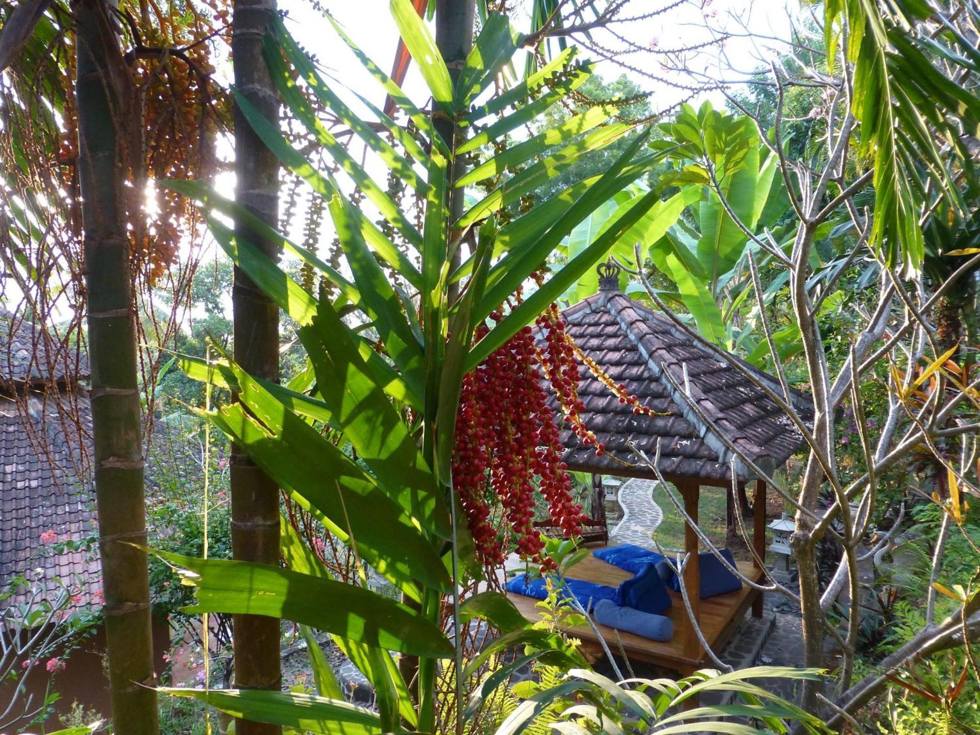 Sananda Bungalow Lovina  Ngoại thất bức ảnh