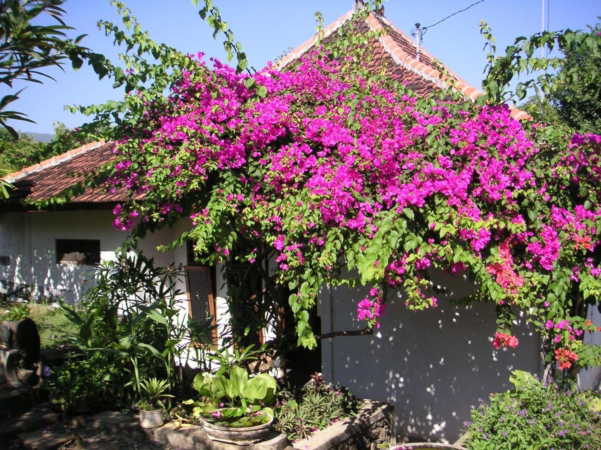 Sananda Bungalow Lovina  Ngoại thất bức ảnh