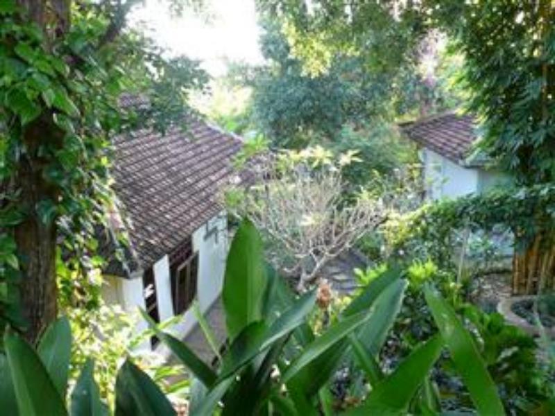 Sananda Bungalow Lovina  Ngoại thất bức ảnh